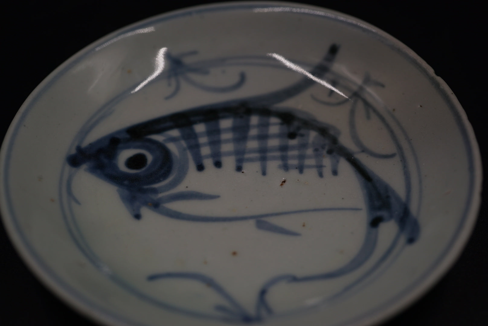 古染付 双魚