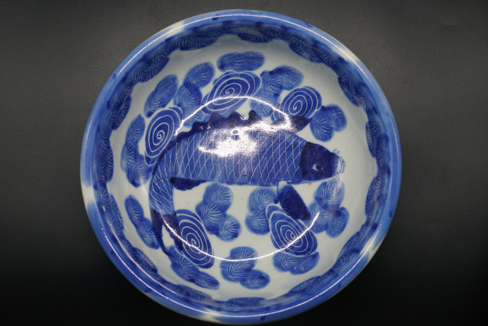伊万里 鯉