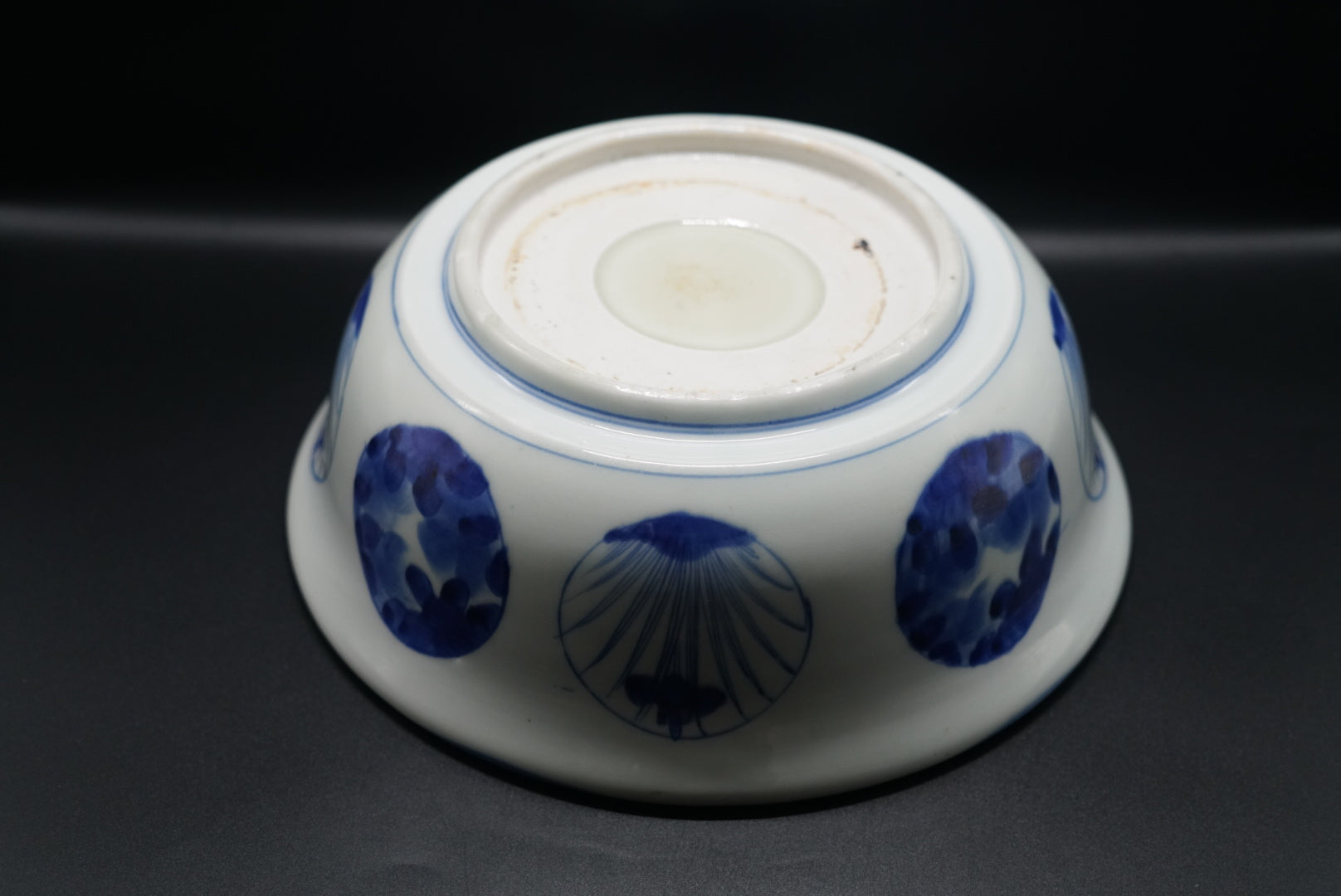 伊万里 鯉