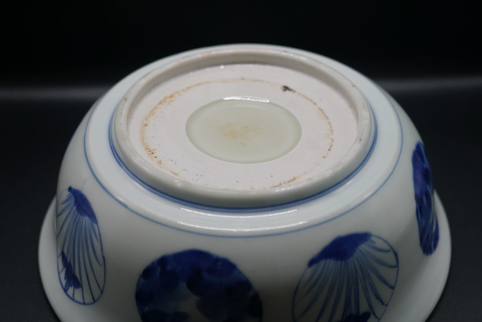 伊万里 鯉